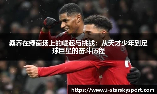 星空体育app下载